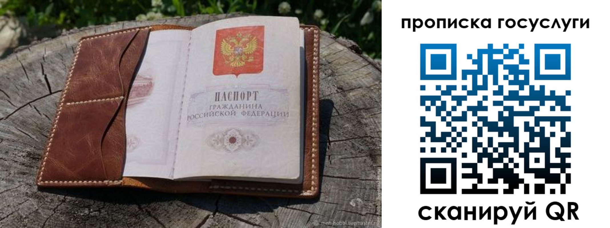 прописка для школы в Коммунаре